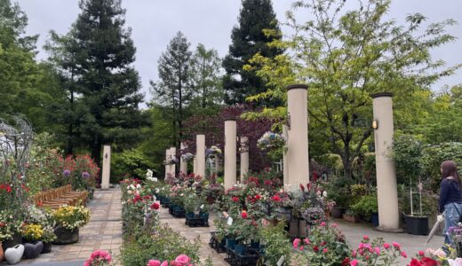 「花と緑に包まれる静かな庭園 ― 久屋大通庭園フラリエの散策記」