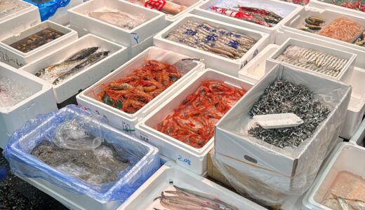 朝の市場に立つ｜魚と目が合う時間